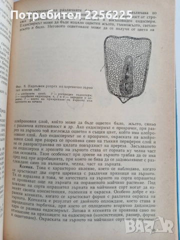 Отглеждане на хибридните царевици, снимка 9 - Части - 53043848
