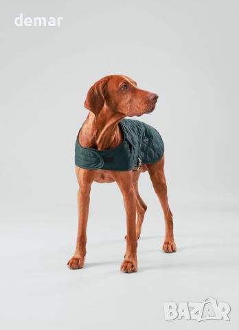 HUGO & HUDSON x HACKETT Капитонирано яке за кучета, зимно палто с кадифена яка, горско зелено M 40, снимка 3 - За кучета - 45980600