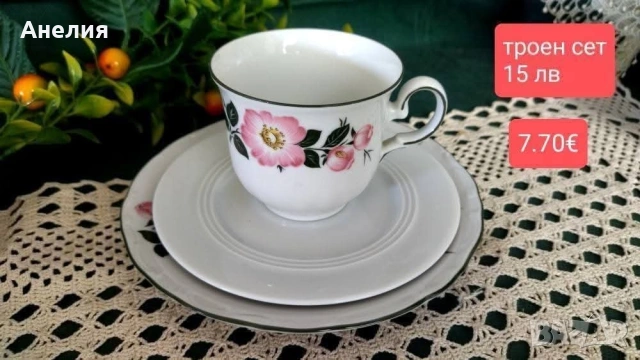 Winterling Bavaria дива роза , снимка 13 - Чинии - 54182723