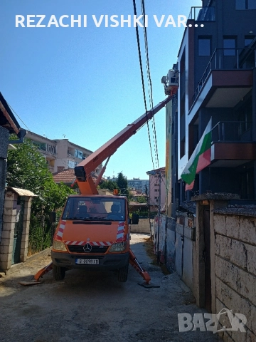 АВТОВИШКА ДО 30 М ВАРНА, КАСТРЕНЕ И ПРЕМАХВАНЕ НА ОПАСНИ ДЪРВЕТА, ПОЧИСТВАНЕ НА ПОЗЕМЛЕНИ ИМОТИ, снимка 4 - Автопарк - 52417795