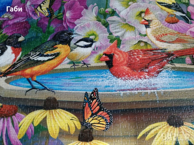 Пъзел Castorland 2000 части Ритъмът на природата, снимка 8 - Пъзели - 51160060