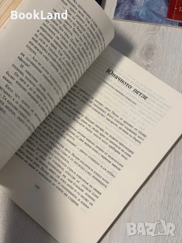 Ангел Каралийчев | Съкровищница, снимка 7 - Художествена литература - 53568565
