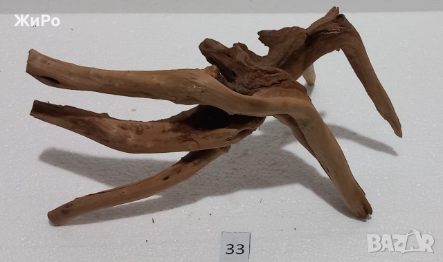 Корен от Азалия /декорация/ 33