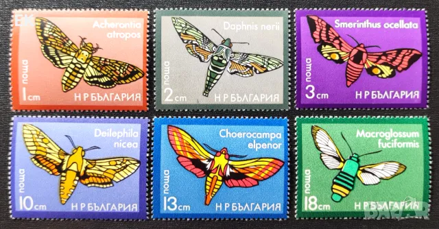 България, 1975 г. - пълна серия чиси марки, пеперуди, 5*5, снимка 1 - Филателия - 47322144