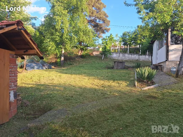 Косене на трева и рязане на дърва за Кюстендил и близките села, снимка 3 - Други почистващи услуги - 50291887