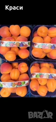 Търся продавач/ка консултант, снимка 2 - Продавачи и касиери - 53901104