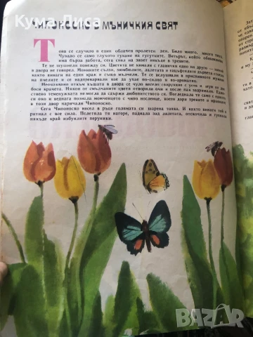 Приключенията на чипоноско , снимка 3 - Детски книжки - 51296778