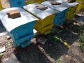 Пчелни кошери за отводки, снимка 1 - Други - 45935671