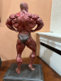 Продавам статуя на Дориян Йетс - седем кратен mr. Olimpia, снимка 1 - Колекции - 45005703