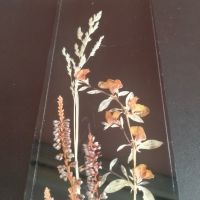 Картина със сухи растения DINA Super-LS Brillant Nr. 1725 25х7см, снимка 3 - Колекции - 45191739