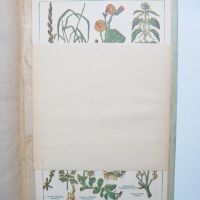 Книга Лечебни растения - Пенчо Икономов и др. 1947 г., снимка 5 - Други - 45682096
