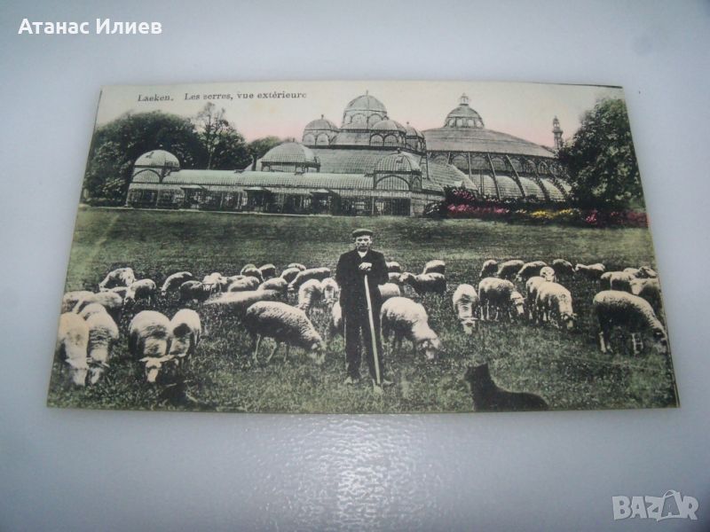Стара пощенска картичка от Белгия -Laeken, les serres, vue exterieure, снимка 1