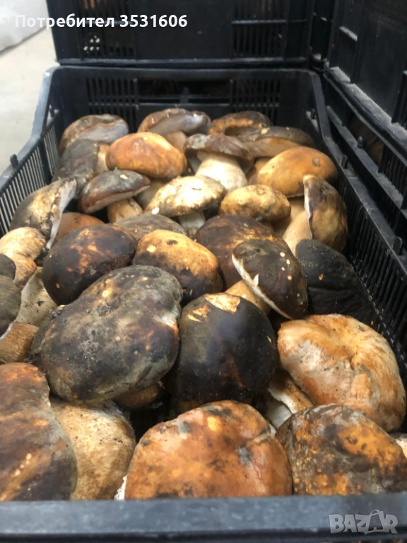 Предлагам Замразена Манатарка ,Горски плодове,Малини, Боровинка,Къпина , снимка 1