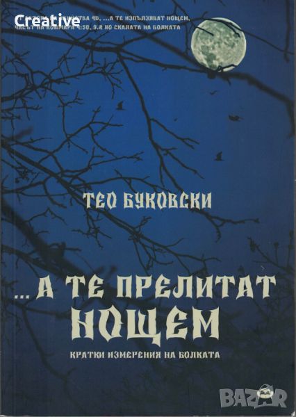 А те прелитат нощем - кратки измерения на болката /Тео Буковски/, снимка 1