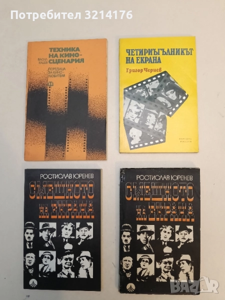 Четириъгълникът на екрана - Григор Чернев, снимка 1