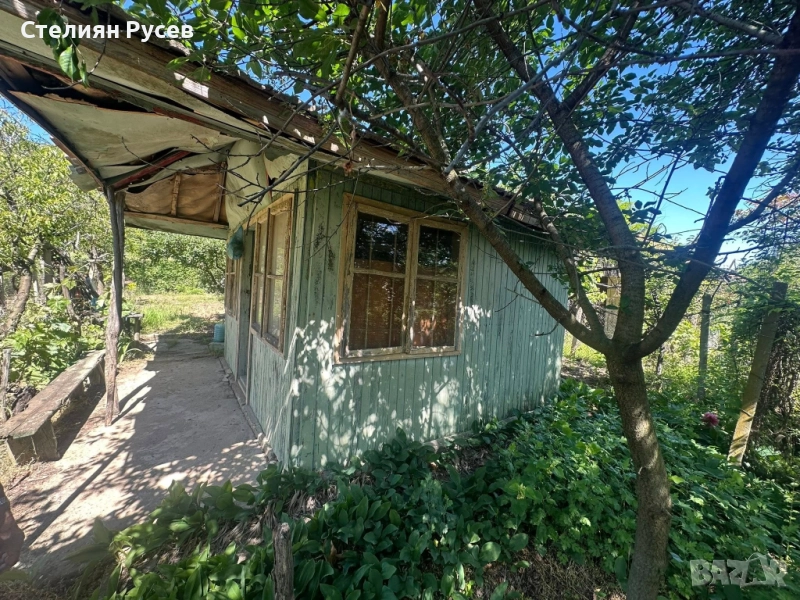 991 кв лозе / ГРАДИНА / терен / парцел / в гр. Силистра под крепостта - от Черно и Бяло нагоре собст, снимка 1