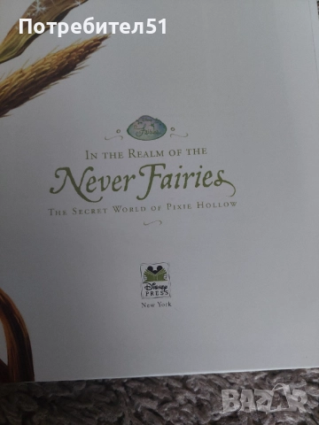 Книга за феи In the Realm of the Never Fairies, снимка 3 - Художествена литература - 51542419
