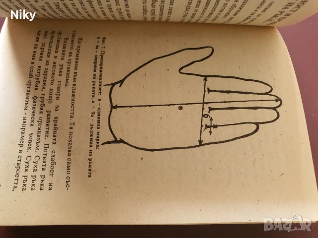 Хиромантия , снимка 4 - Езотерика - 51205016