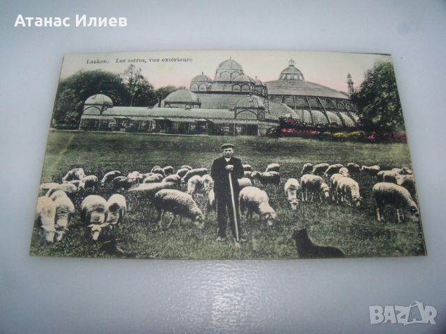 Стара пощенска картичка от Белгия -Laeken, les serres, vue exterieure, снимка 1 - Филателия - 46401531