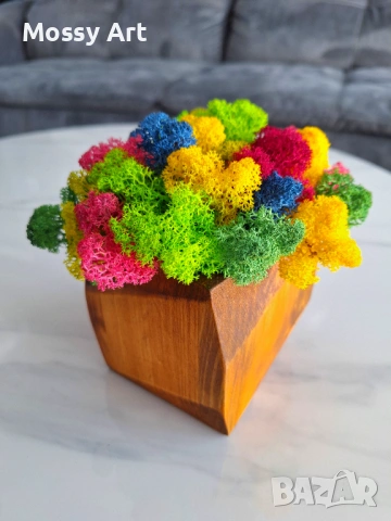 Декорации със скандинавски мъх, снимка 7 - Декорация за дома - 53198992