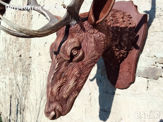 Ловен трофей от благороден елен, Поставка за еленски рога, Дърворезба за механа, Подарък за ловец  