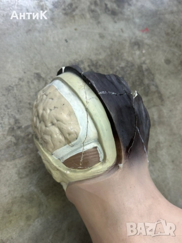 Соц Учебен Модел на Човешко Тяло Торс, снимка 8 - Антикварни и старинни предмети - 53296122