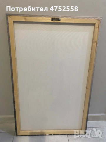 Снимка платно канава върху дървена рамка. Различни видове. Размери 85/55 см, снимка 3 - Декорация за дома - 53674532