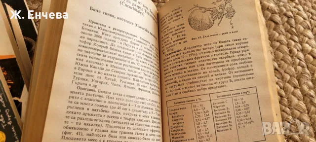 Домашна енциклопедия-Плодолечение и козметика, снимка 3 - Енциклопедии, справочници - 49180036