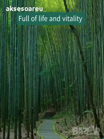 Качествени малки Семена от бамбук Bambusa arundinacea бързо растящи растения за дома бамбуков разсад, снимка 15 - Сортови семена и луковици - 50482087