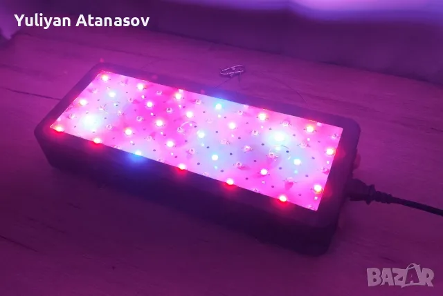 PHLIZON GROW LIGHT - Лампа за цветя, снимка 4 - Други - 47148744