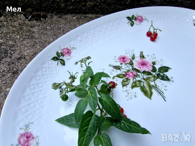 Порцеланово плато Бавария, снимка 5 - Чинии - 51515488