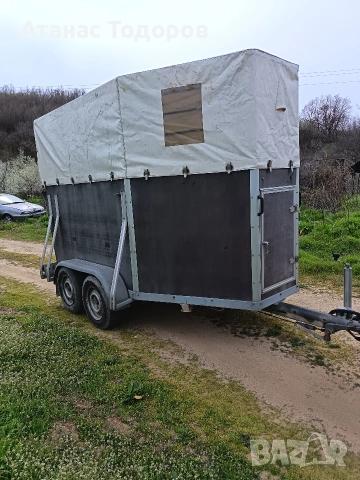 ремарке за коне, снимка 2 - Ремаркета - 53994875