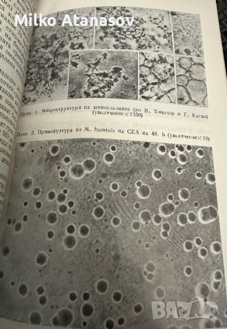 Микоплазмени инфекции у човека -В.Мандулов, снимка 6 - Специализирана литература - 45322000