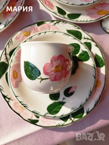 Villeroy & Boch - серия Wild Rose за 6човека, снимка 3 - Сервизи - 53843777