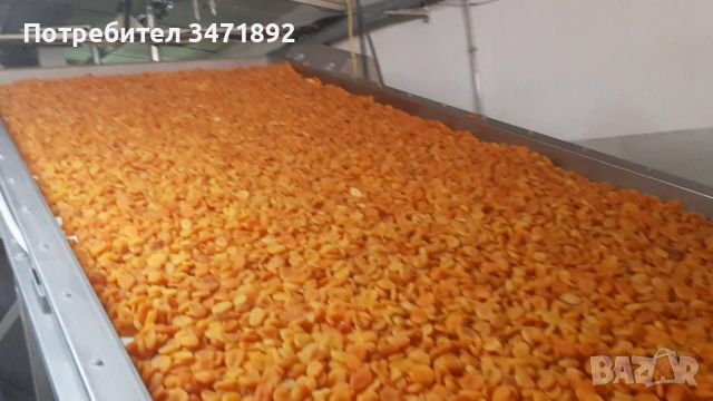 Линии  за  сушене  на плодове  билки  зеленчуци и др хранителни продукти , снимка 5 - Други машини и части - 46660530