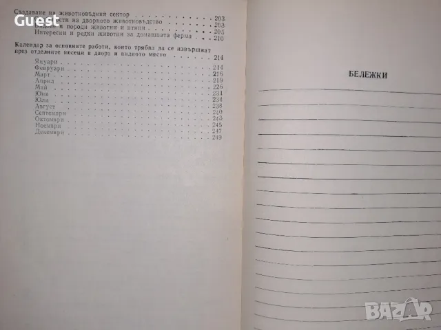 Дворът и дворното място, снимка 7 - Специализирана литература - 49520648