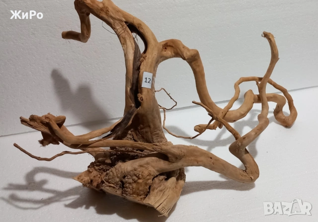 Корен от Азалия /декорация/ 12