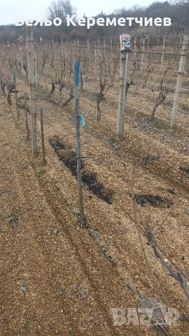 Мотоблок беларус (триколка), снимка 3 - Селскостопанска техника - 53839282