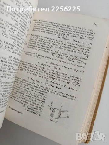 Екскурзионна флора на България, снимка 2 - Специализирана литература - 53758881