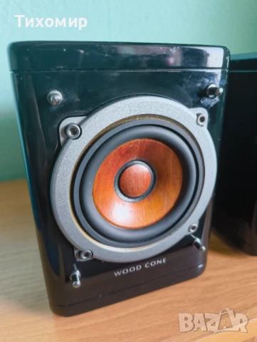 JVC SP-EXP1 Wood cone / Тонколони, снимка 4 - Тонколони - 51331558