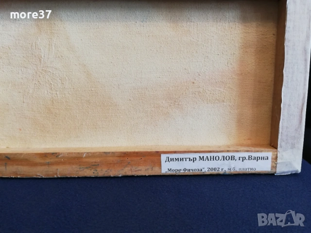 2 Картини-Море и Кукери, снимка 4 - Картини - 53942653