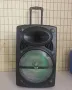 Караоке тонколона 12" Woofer NDR-12, снимка 4