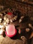 продавам пилета бройлери , снимка 1 - За птици - 46060798