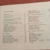 Българско-чешки разговорник, снимка 4 - Чуждоезиково обучение, речници - 45283666