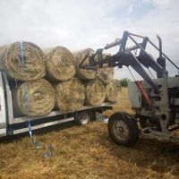 продавам сено на рулонни бали регион Пазарджик 50 лв/бр, снимка 1 - Крави - 46202415