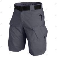 Мъжки къси панталони, 8цвята , снимка 9 - Къси панталони - 46019998