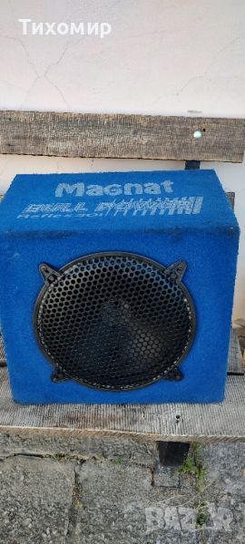 Баскаса Magnat 301, снимка 1