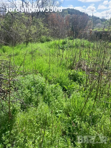 Упи в село Илинденци общ.Струмяни обл.Благоевград, снимка 3 - Парцели - 50922961