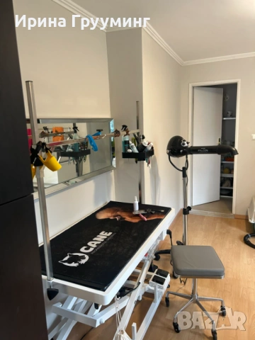 Отдава се под наем оборудван грууминг салон за кучета в София, снимка 4 - За кучета - 53859124