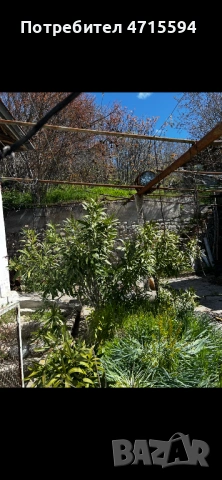 Къща с парцел , снимка 9 - Къщи - 53179593